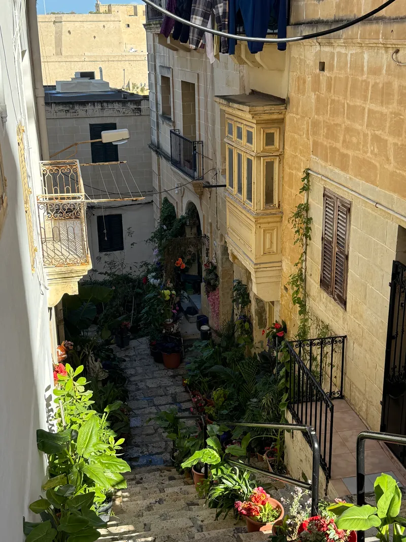 A Senglea side street in January: stepped alley, gallarija balconies, potted plants and nobody around